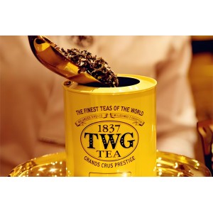 新加坡 TWG Tea 原装进口高端茶叶 / 礼盒装
